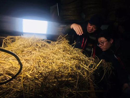 砥砺前行，进一步提升产品质量——雪荞酒厂202X年上半年工作总结